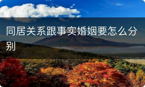 同居关系跟事实婚姻要怎么分别