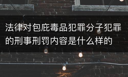 法律对包庇毒品犯罪分子犯罪的刑事刑罚内容是什么样的