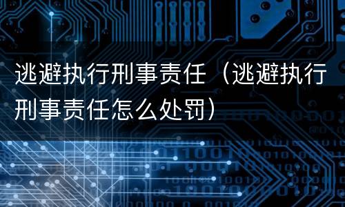 逃避执行刑事责任（逃避执行刑事责任怎么处罚）