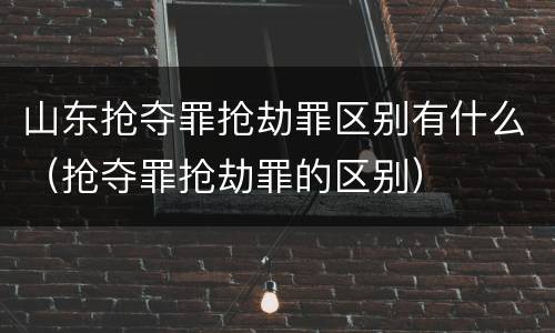 山东抢夺罪抢劫罪区别有什么（抢夺罪抢劫罪的区别）