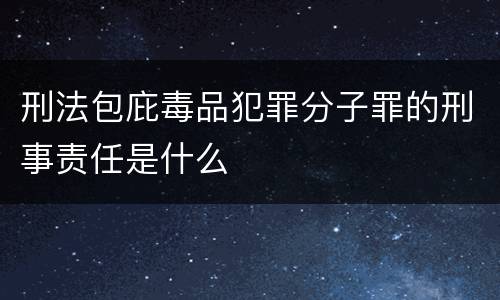 刑法包庇毒品犯罪分子罪的刑事责任是什么