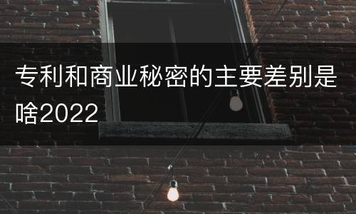 专利和商业秘密的主要差别是啥2022