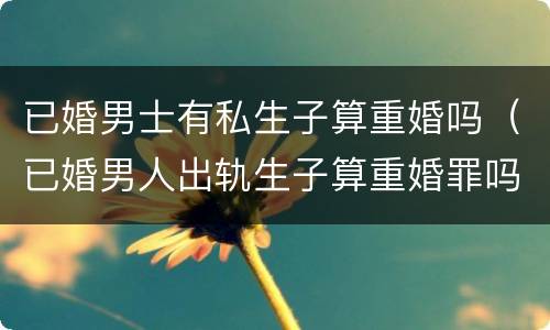 已婚男士有私生子算重婚吗（已婚男人出轨生子算重婚罪吗）