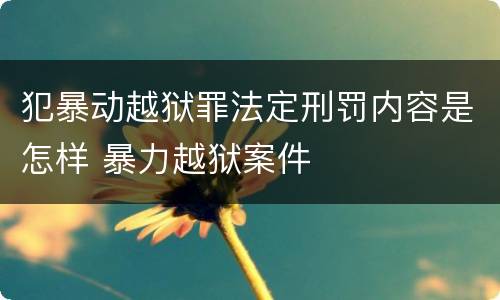 犯暴动越狱罪法定刑罚内容是怎样 暴力越狱案件