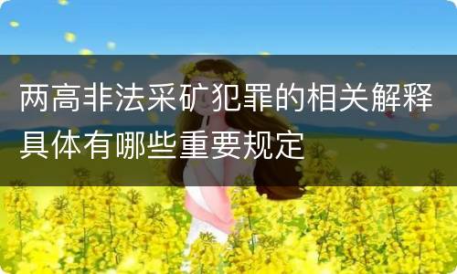 两高非法采矿犯罪的相关解释具体有哪些重要规定