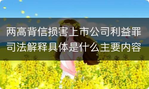 两高背信损害上市公司利益罪司法解释具体是什么主要内容