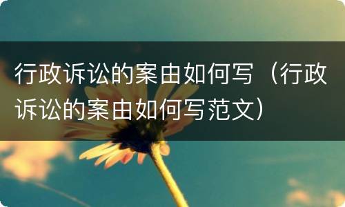 行政诉讼的案由如何写（行政诉讼的案由如何写范文）