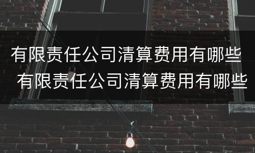 有限责任公司清算费用有哪些 有限责任公司清算费用有哪些项目