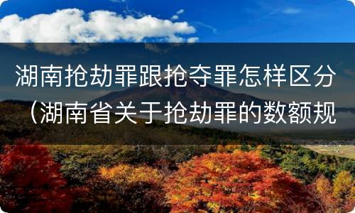 湖南抢劫罪跟抢夺罪怎样区分（湖南省关于抢劫罪的数额规定）