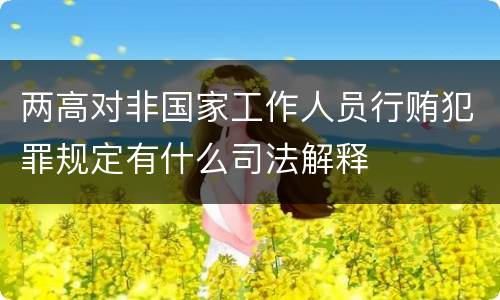 两高对非国家工作人员行贿犯罪规定有什么司法解释