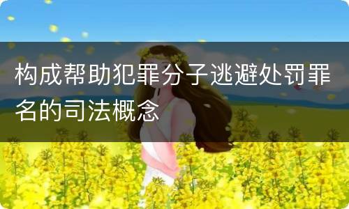 构成帮助犯罪分子逃避处罚罪名的司法概念