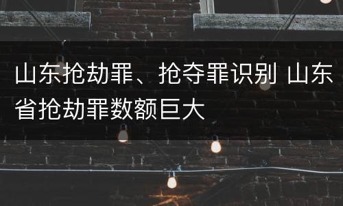 山东抢劫罪、抢夺罪识别 山东省抢劫罪数额巨大