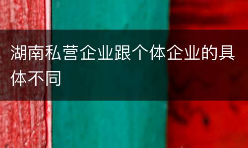 湖南私营企业跟个体企业的具体不同