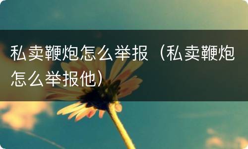 私卖鞭炮怎么举报（私卖鞭炮怎么举报他）