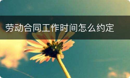 劳动合同工作时间怎么约定