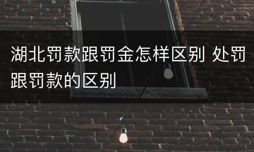 湖北罚款跟罚金怎样区别 处罚跟罚款的区别