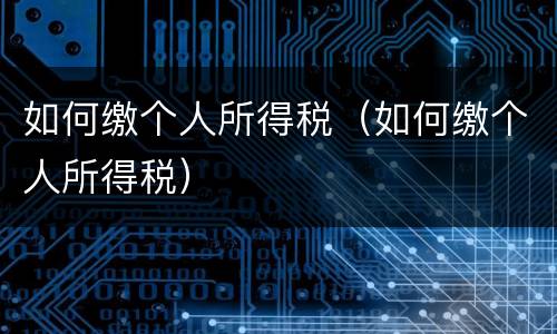 如何缴个人所得税（如何缴个人所得税）