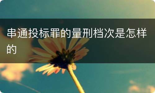 串通投标罪的量刑档次是怎样的