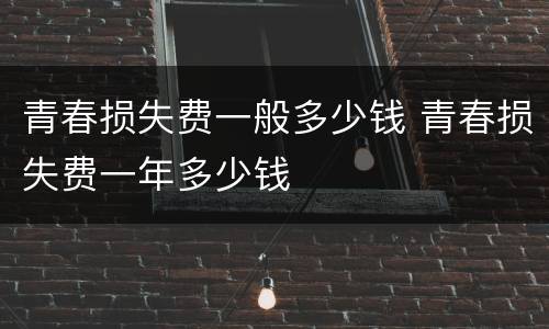 青春损失费一般多少钱 青春损失费一年多少钱
