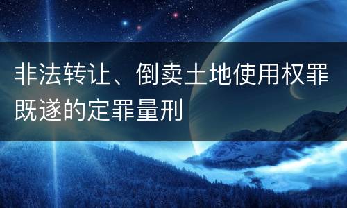 非法转让、倒卖土地使用权罪既遂的定罪量刑