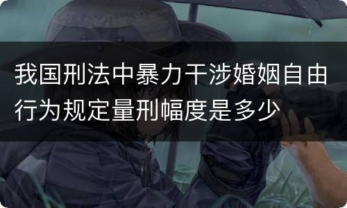 我国刑法中暴力干涉婚姻自由行为规定量刑幅度是多少