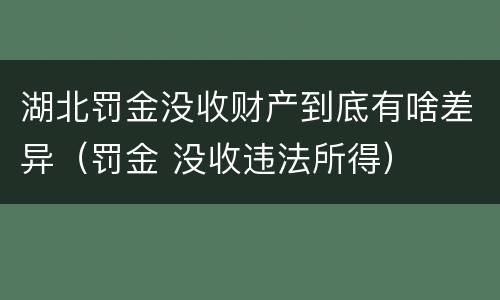 湖北罚金没收财产到底有啥差异（罚金 没收违法所得）