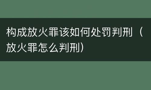 构成放火罪该如何处罚判刑（放火罪怎么判刑）