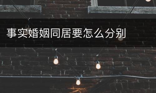 事实婚姻同居要怎么分别
