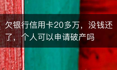 欠银行信用卡20多万，没钱还了，个人可以申请破产吗