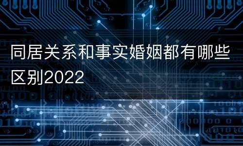 同居关系和事实婚姻都有哪些区别2022