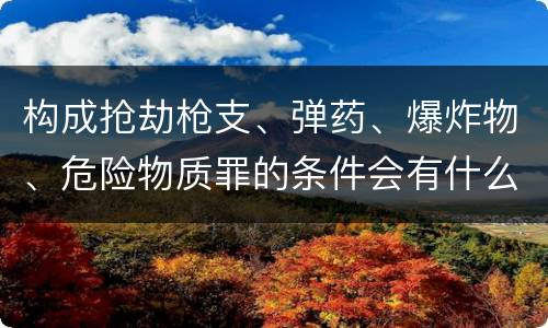 构成抢劫枪支、弹药、爆炸物、危险物质罪的条件会有什么