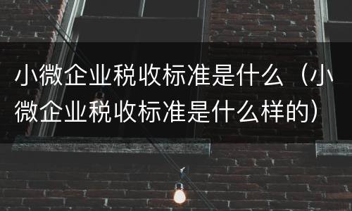 小微企业税收标准是什么（小微企业税收标准是什么样的）