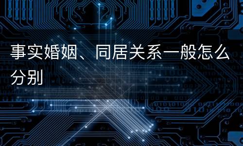 事实婚姻、同居关系一般怎么分别