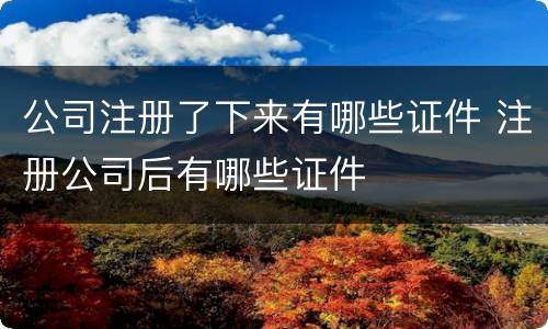 公司注册了下来有哪些证件 注册公司后有哪些证件