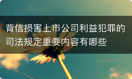 背信损害上市公司利益犯罪的司法规定重要内容有哪些