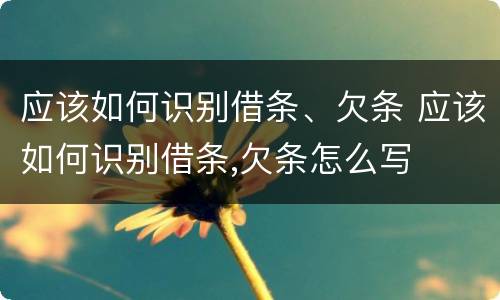应该如何识别借条、欠条 应该如何识别借条,欠条怎么写
