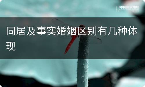 同居及事实婚姻区别有几种体现