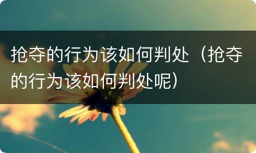 抢夺的行为该如何判处（抢夺的行为该如何判处呢）