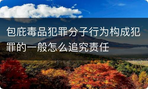 包庇毒品犯罪分子行为构成犯罪的一般怎么追究责任