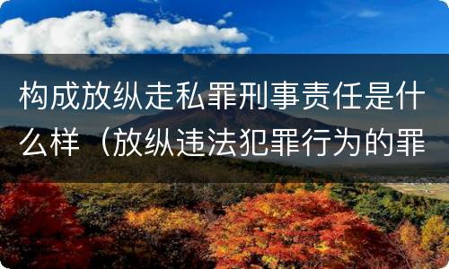 构成放纵走私罪刑事责任是什么样（放纵违法犯罪行为的罪名）