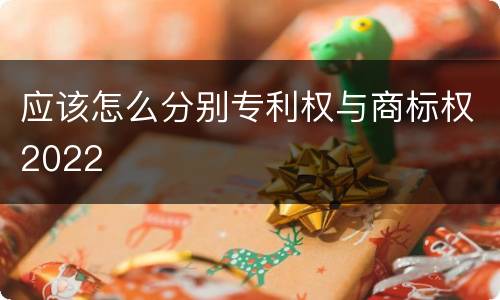 应该怎么分别专利权与商标权2022