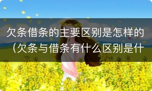 欠条借条的主要区别是怎样的（欠条与借条有什么区别是什么）
