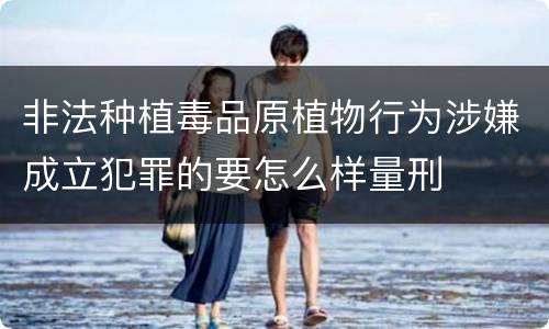 非法种植毒品原植物行为涉嫌成立犯罪的要怎么样量刑