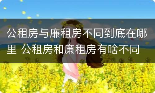 公租房与廉租房不同到底在哪里 公租房和廉租房有啥不同