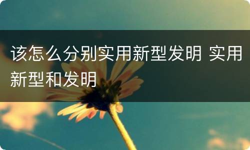 该怎么分别实用新型发明 实用新型和发明