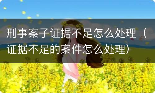刑事案子证据不足怎么处理（证据不足的案件怎么处理）