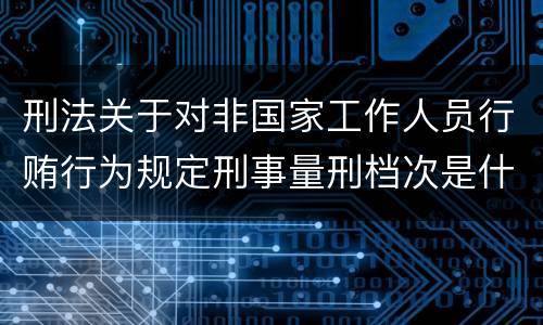 刑法关于对非国家工作人员行贿行为规定刑事量刑档次是什么