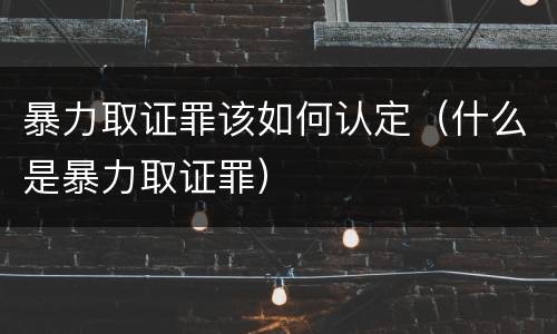 暴力取证罪该如何认定（什么是暴力取证罪）