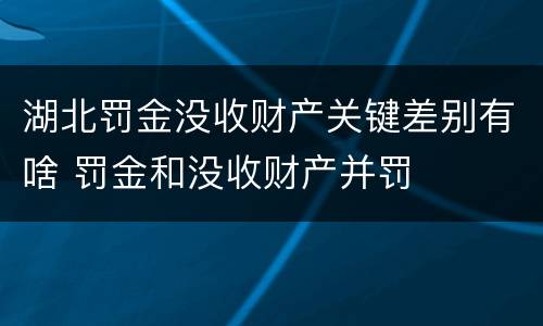 湖北罚金没收财产关键差别有啥 罚金和没收财产并罚