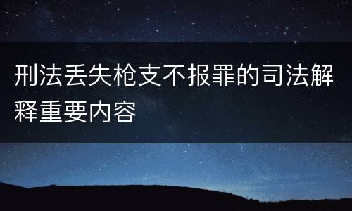 刑法丢失枪支不报罪的司法解释重要内容